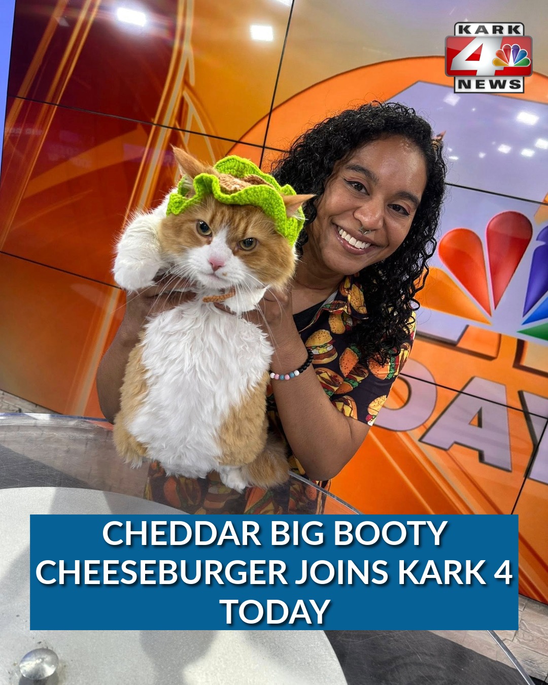 Cheddar wearing a lettuce hat on KARK 4 News